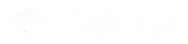 NVIDIA logo
